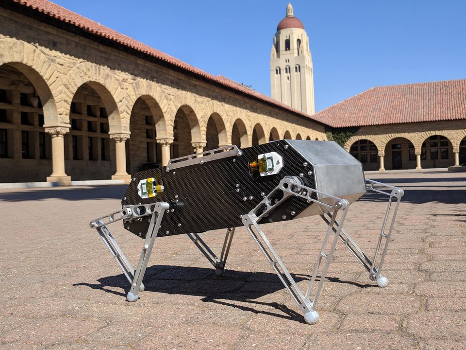 Stanford Doggo