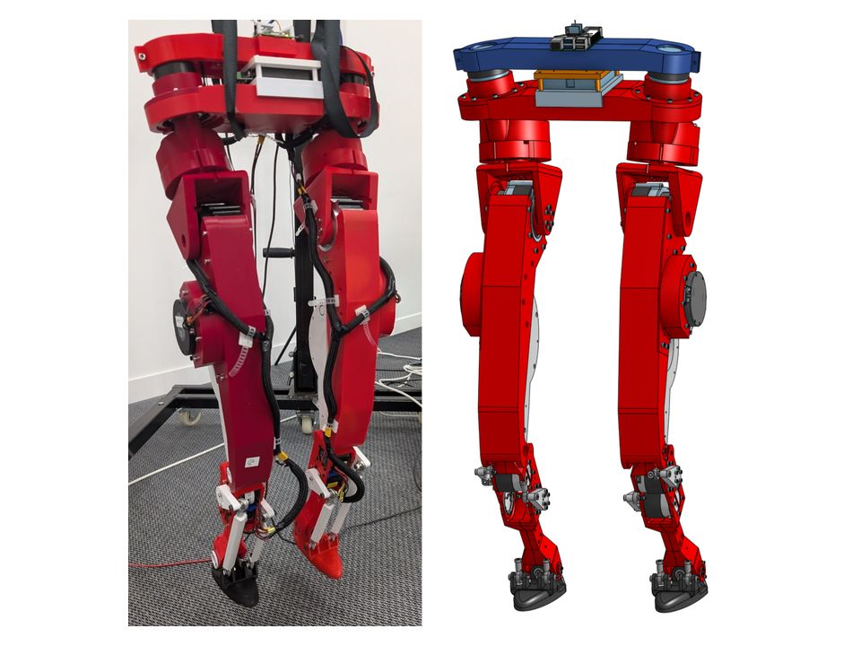 LeRobot Humanoid