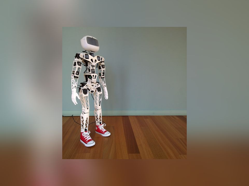 Poppy Humanoid