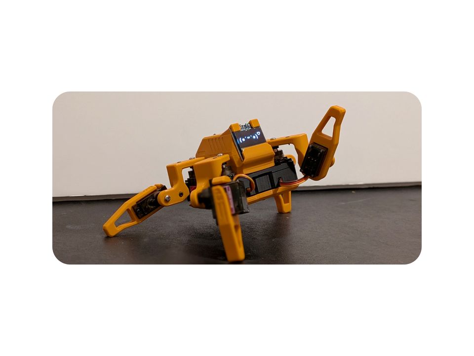Sesame Robot